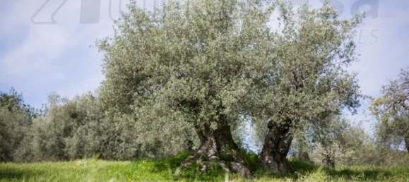 1 chambre Maison à Noto, Italy No. 360769 3