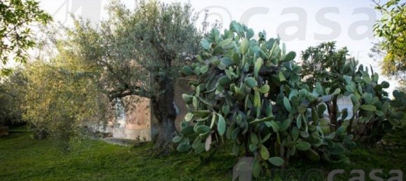 1 chambre Maison à Noto, Italy No. 360769 7