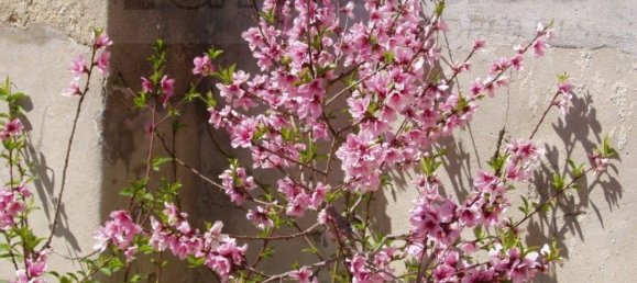 1 chambre Maison à Noto, Italy No. 360769 14