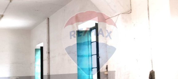 1-salle Propriété commerciale à Sabaudia, Italy No. 52598 11