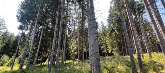  قطعة أرض في Ostallgau, Germany رقم 146059 3