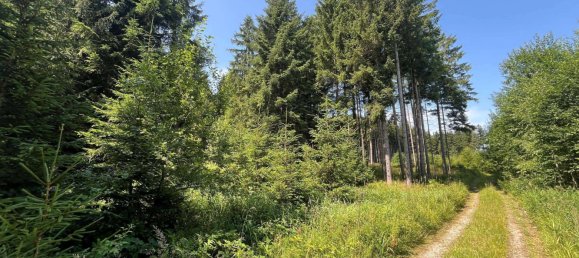  قطعة أرض في Ostallgau, Germany رقم 146059 5