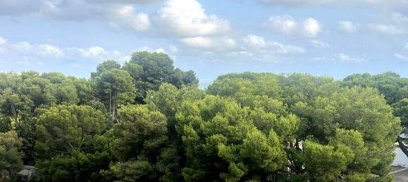 Apartamento T3 em L'Ametlla de Mar, Spain N.º 183978 5