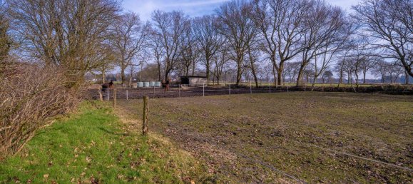 6 chambres Ferme à Aurich, Germany No. 205894 7