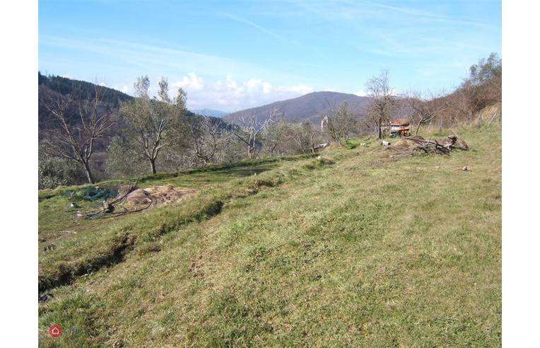 2 bedrooms Castles in Massa, Italy No. 255071