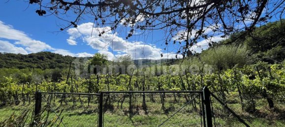 7 غرف نوم منزل في Rufina, Italy رقم 301994 4