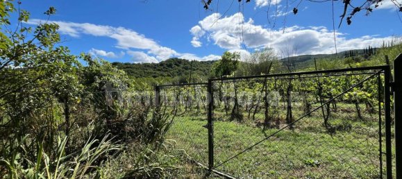 7 غرف نوم منزل في Rufina, Italy رقم 301994 5