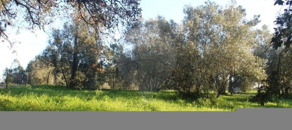  قطعة أرض في Lourical, Portugal 1030متر مربع رقم 77344 6