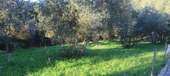  قطعة أرض في Lourical, Portugal 1030متر مربع رقم 77344 2