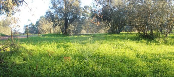  قطعة أرض في Lourical, Portugal 1030متر مربع رقم 77344 4