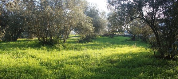  قطعة أرض في Lourical, Portugal 1030متر مربع رقم 77344 8