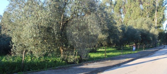  قطعة أرض في Lourical, Portugal 1030متر مربع رقم 77344 7