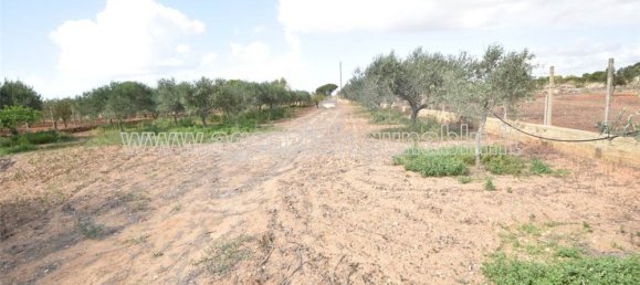 1-Zimmer Grundstück in Marsala, Italy, Nr. 157214 10