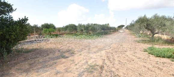 1-Zimmer Grundstück in Marsala, Italy, Nr. 157214 11