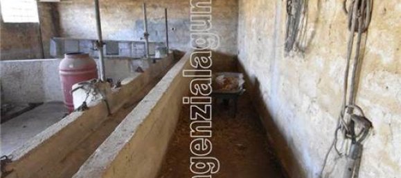 1-Zimmer Grundstück in Marsala, Italy, Nr. 157214 5