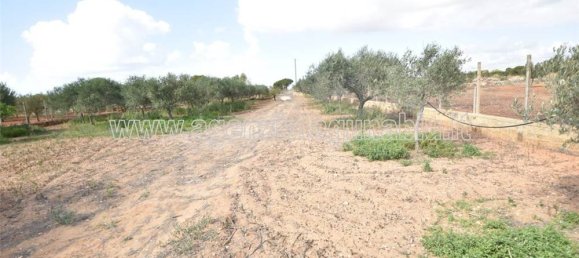 1-Zimmer Grundstück in Marsala, Italy, Nr. 157214 9