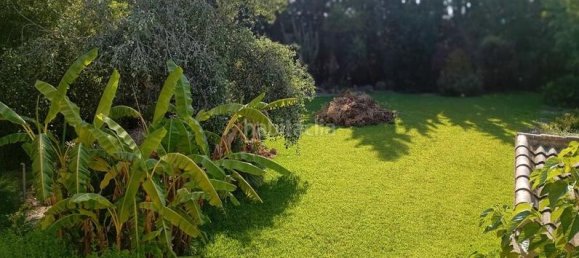 4 غرف نوم منزل في Daya Nueva, Spain رقم 132713 42