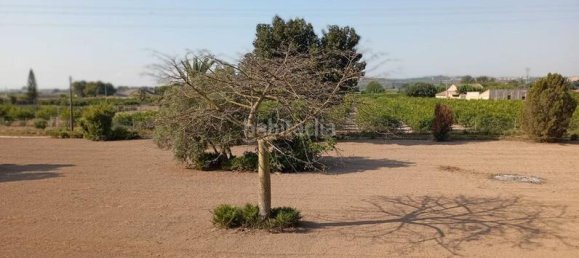 4 غرف نوم منزل في Daya Nueva, Spain رقم 132713 9