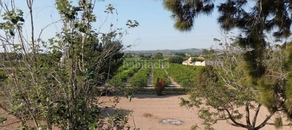 4 غرف نوم منزل في Daya Nueva, Spain رقم 132713 38