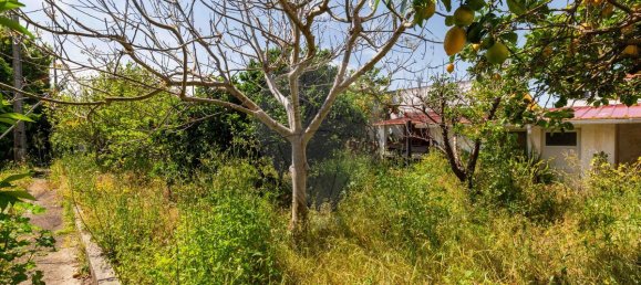 5 Schlafzimmer Haus in Marinha Grande, Portugal, Nr. 161968 32