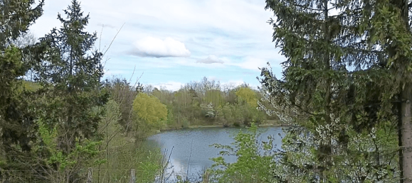 Земельный участок 17437м² в Лосдорф, Австрия № 17076 18