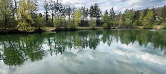 Земельный участок 17437м² в Лосдорф, Австрия № 17076 8