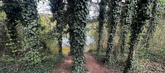 Земельный участок 17437м² в Лосдорф, Австрия № 17076 14