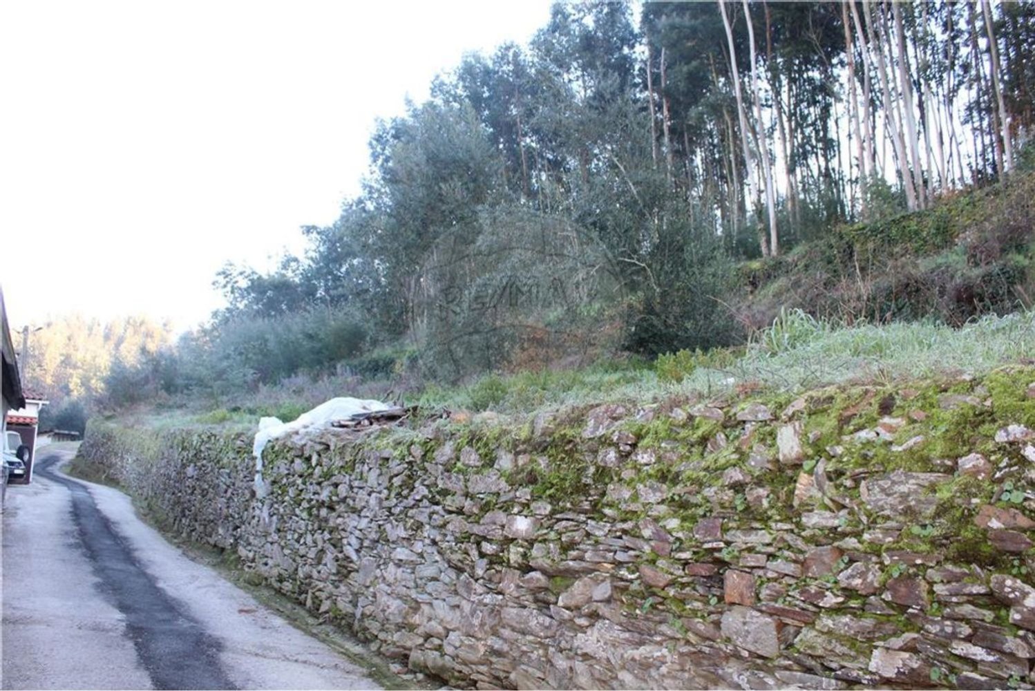 Terrain à Penacova, Portugal 2620m² No. 71427