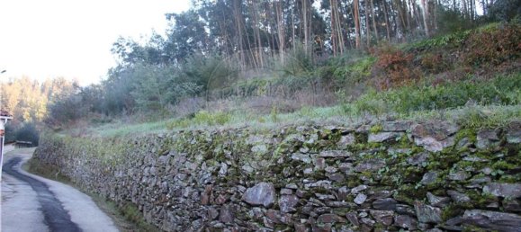 Terrain à Penacova, Portugal 2620m² No. 71427 3