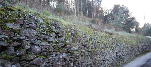 Terrain à Penacova, Portugal 2620m² No. 71427 2