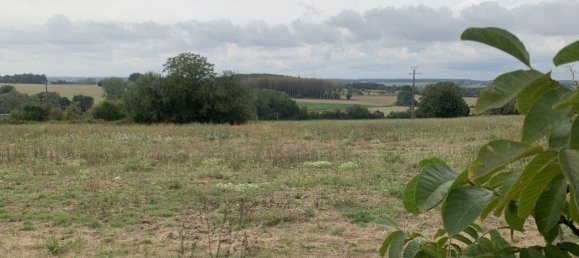2 chambres Maison à Frédille, France No. 249297 11