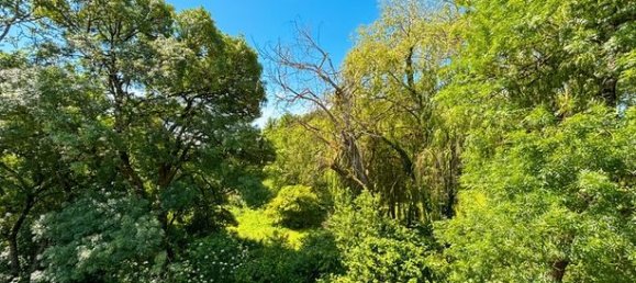 3 Schlafzimmer Schlösser in Occitanie, France, Nr. 300817 10