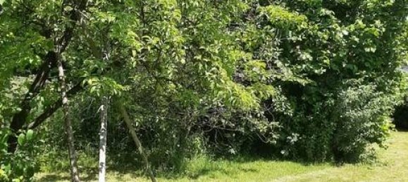 Дом с 4 спальнями в Мёнхенгладбах, Германия № 58387 16