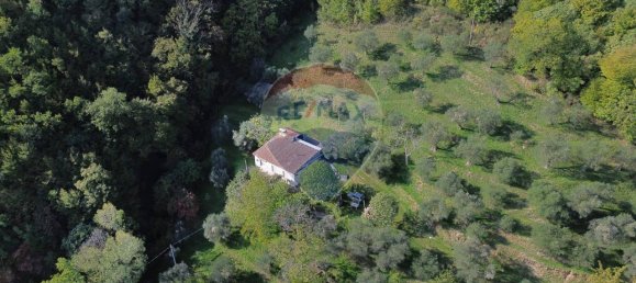 Casa de 3 divisões em Serra San Quirico, Italy N.º 5623 3