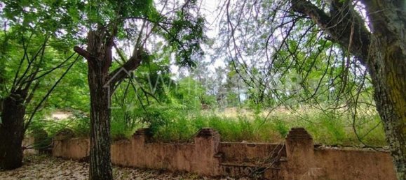 5 bedrooms House in Tramagal, Portugal No. 29960 25