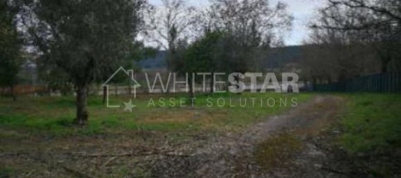 5 bedrooms House in Tramagal, Portugal No. 29960 23