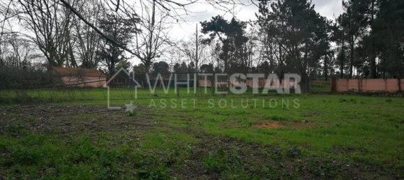 5 bedrooms House in Tramagal, Portugal No. 29960 15