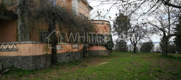 5 bedrooms House in Tramagal, Portugal No. 29960 7