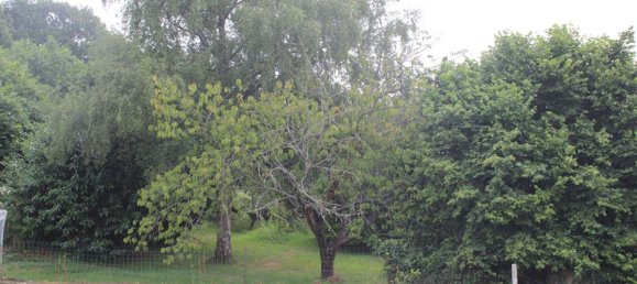 3 Schlafzimmer Haus in Uzel, France, Nr. 324966 6