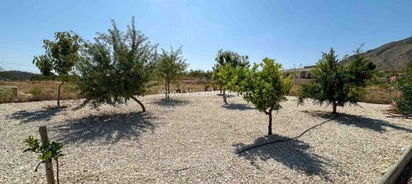 Casa de 3 dormitorios en Hondon De Las Nieves, Spain No. 182053 36