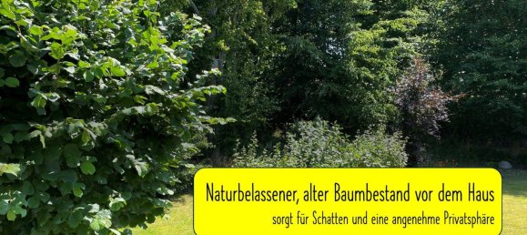 1 bedroom House in Vorpommern-Greifswald, Germany No. 266836 3