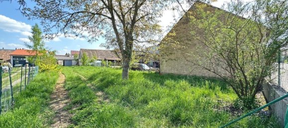 Terrain à Ziersdorf, Austria No. 256872 3