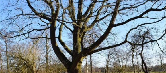 5-Zimmer Haus in Cuxhaven, Germany, Nr. 150868 11