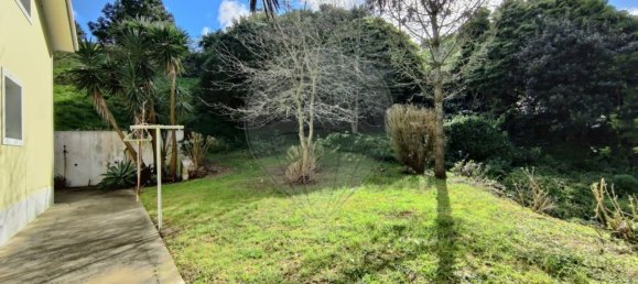 3 bedrooms House in Rabo de Peixe, Portugal No. 24710 9