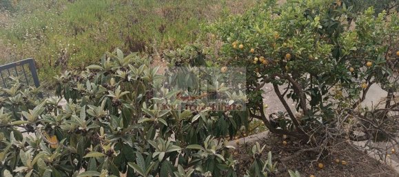 3-Zimmer Haus in Alcamo, Italy, Nr. 226545 6