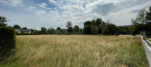 Terreno en Aurolzmunster, Austria No. 214432 4