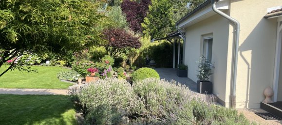 Bungalow de 2 dormitorios en Tegel, Germany No. 217827 9