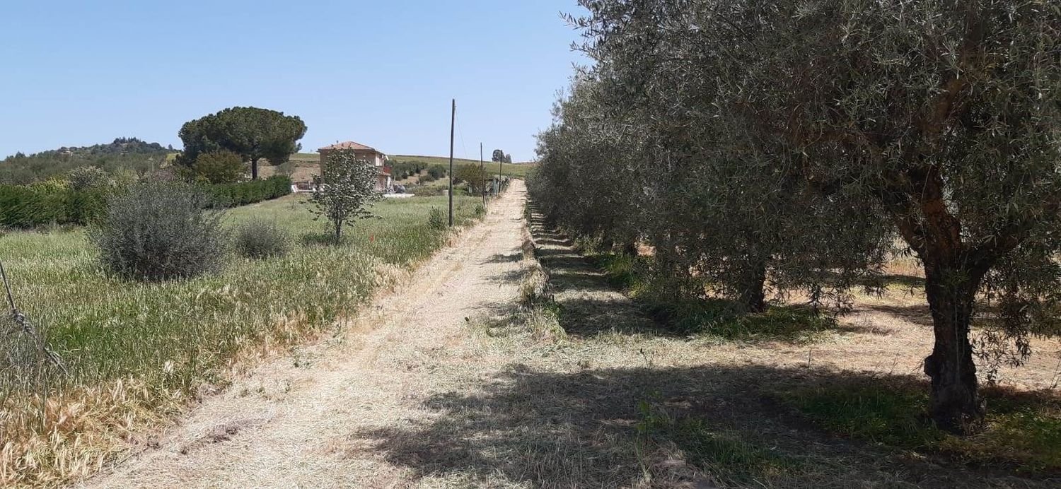 Grundstück in San Cataldo, Italy 12500m², Nr. 67032