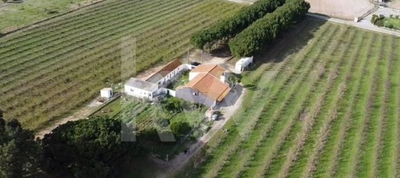 2 Schlafzimmer Schlösser in Palmela, Portugal, Nr. 67836 3