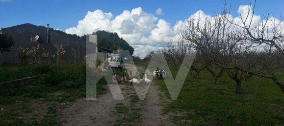 2 Schlafzimmer Schlösser in Palmela, Portugal, Nr. 67836 24